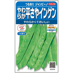 初心者でも簡単！プランター栽培で春に種まきできるおすすめの野菜をご紹介グリーンマーケット