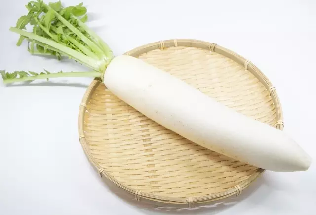 大根の保存方法 農家の教えに11万いいね「シャキシャキで水分しっかり残ってる」CHANTO WEB