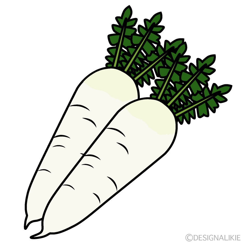 土付き大根」の写真素材166件の無料イラスト画像Adobe Stock