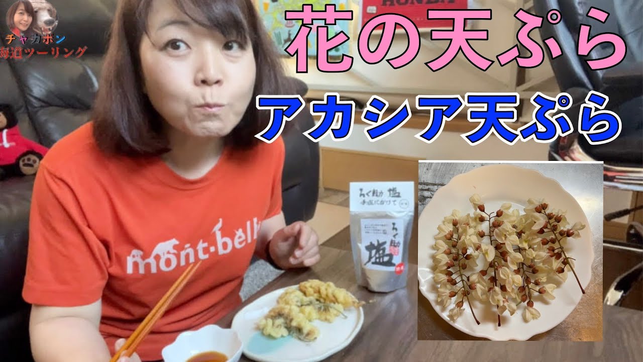 食べられるのは今だけ！アカシアの花の天ぷらが優しすぎる大館めんちゃんねる