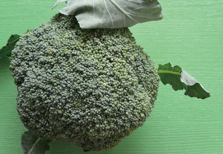 ブロッコリーの茎はどこまで食べられる？切り方・食べ方・冷凍方法も！ほほえみごはん-冷凍で食を豊かに-ニチレイフーズ