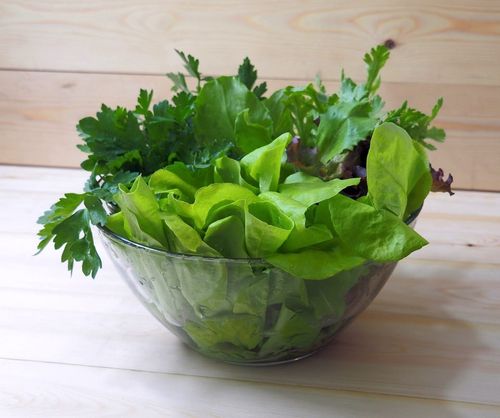 すぼらでいい！ 簡単で長持ちする野菜保存方法～葉物編～あなたの食とくらしにイチバン近い、ユーコープの情報サイトゴハンのもと