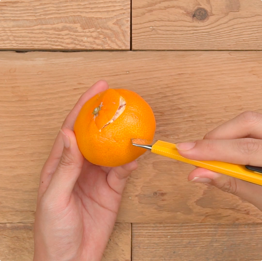 捨てるのはちょっと待って！みかんの皮で親子遊びを楽しもう - Chiik! チーク-乳幼児〜小学生までの知育・教育メディア