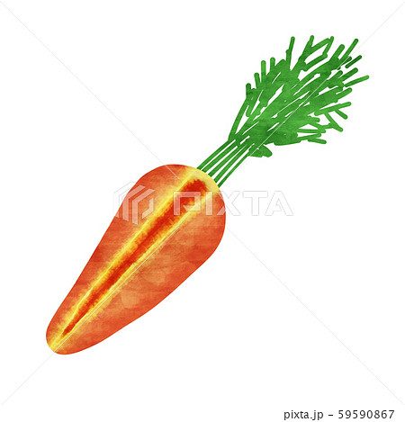 にんじんの切り方10選 千切り・短冊切りなど基本の切り方と手順を徹底解説