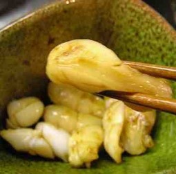 海辺里のイカ料理始めました！ – カントリーハウス海辺里