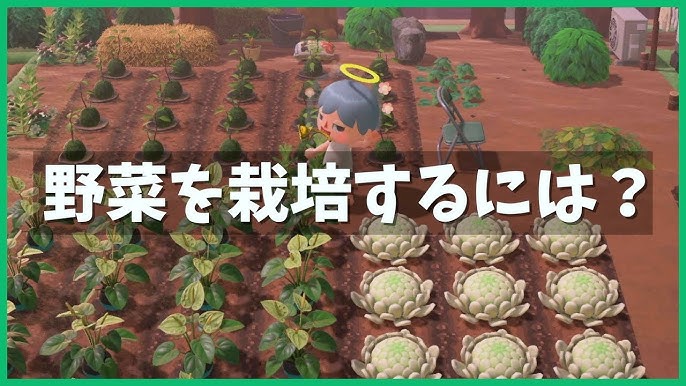 あつ森 実装されてないはずの”野菜”を栽培している畑があった！カリフラワーの正体はあつまれどうぶつの森