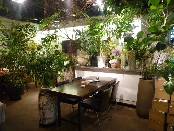 flower&cafe 風花旧店名 Bar 風花表参道 カフェ- Retty レッティ