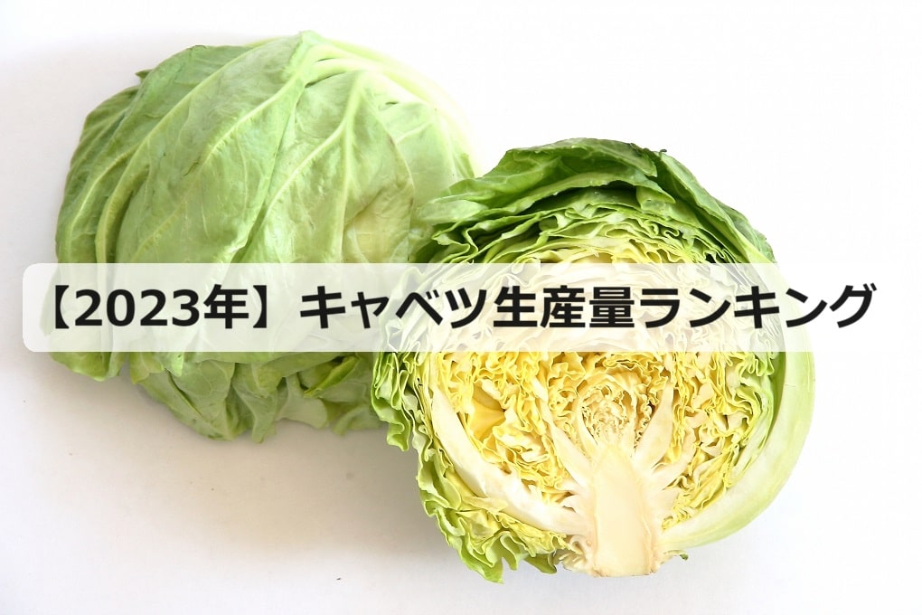 ランキングで見る長野県の農業デジタル農活信州
