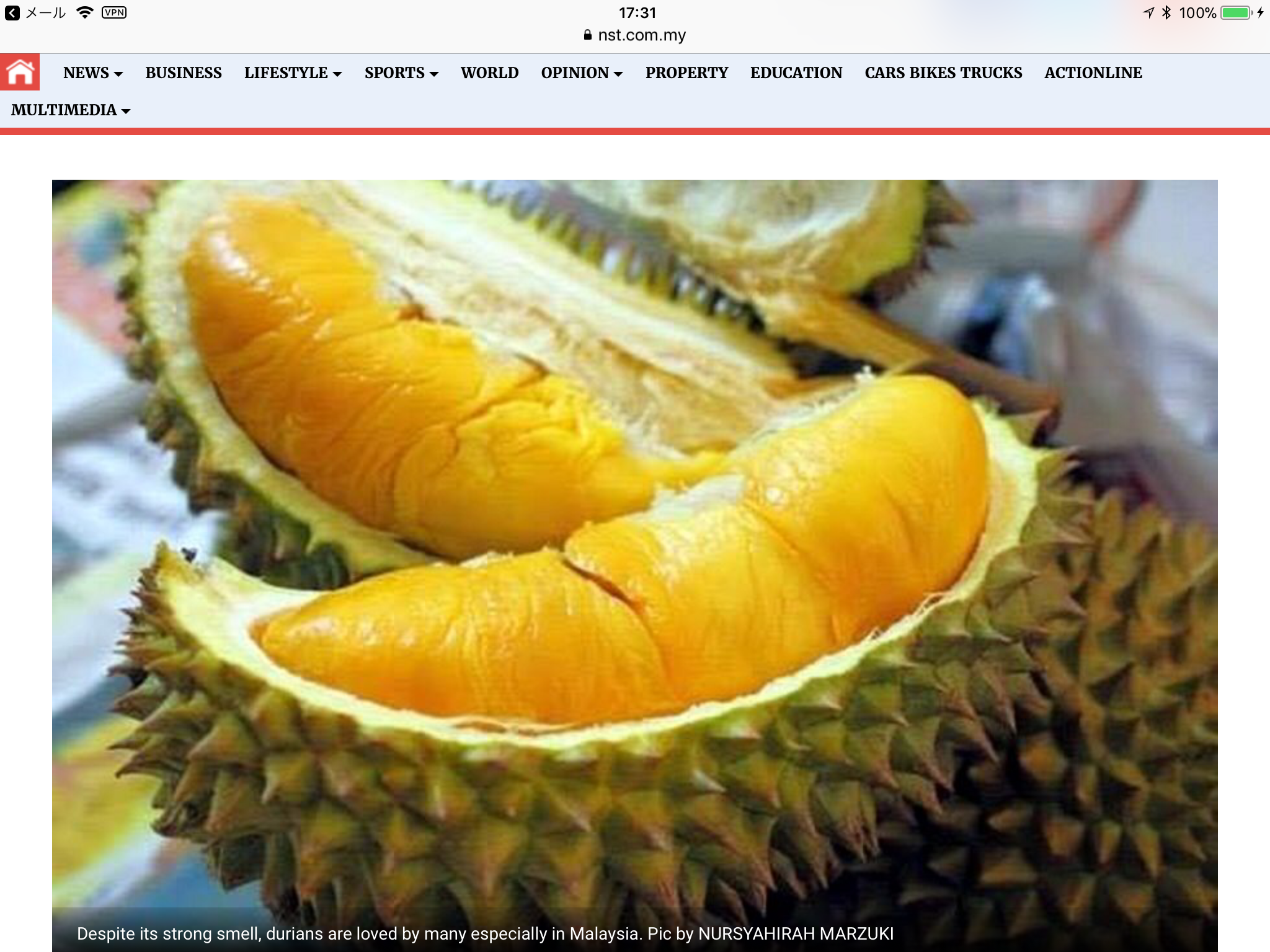 ドリアン：禁断の果実、その魅力と謎に迫る – inakaonline