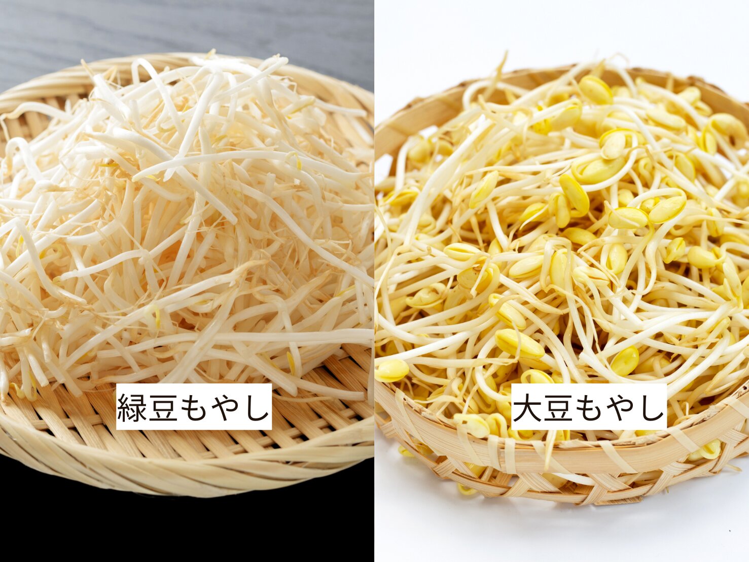 枝豆・大豆・もやしの違い、順番食の衛生ナビ