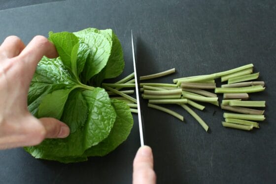 葉わさびの甘酢漬け by 針木のぽちクックパッド簡単おいしいみんなのレシピが392万品