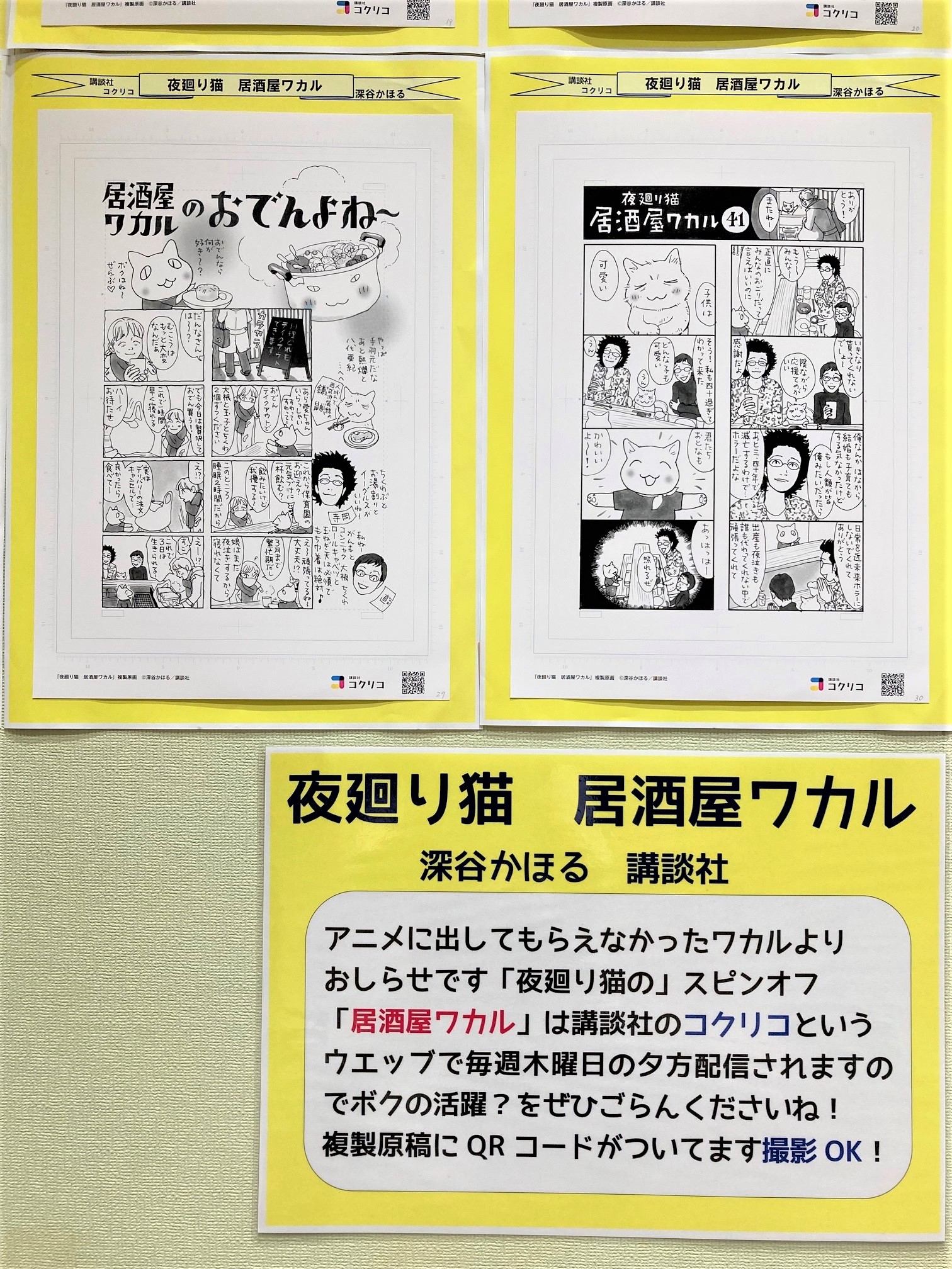 ワンコインで味わえる家庭料理と生ホッピー！ 懐かしくて温かい街の居酒屋さん：ワカコ酒 Season4テレビ東京・ＢＳテレ東の読んで見て感じるメディア テレ東プラス