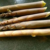 破竹と鶏肉の炊き込みごはん