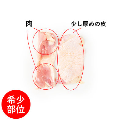 鶏肉の部位でソリやペタって何？一覧と特徴 これで鶏が丸分かり