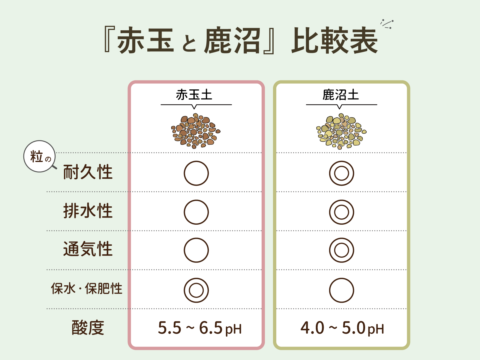 常識が変わる 赤玉土の使い方が今日からガラリと変わります。 カーメン君園芸ガーデニング初心者