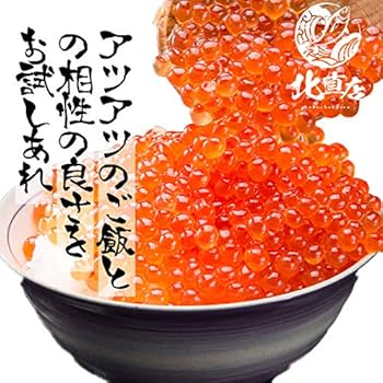 冷凍 北海道産 いくら醤油漬け 500g 国産 どんぶり 軍艦巻 寿司 鮭 しゃけ イクラ 海鮮丼 手巻き寿司 パーティー 6309600099 :海産王子 - 通販 - Yahoo!ショッピング