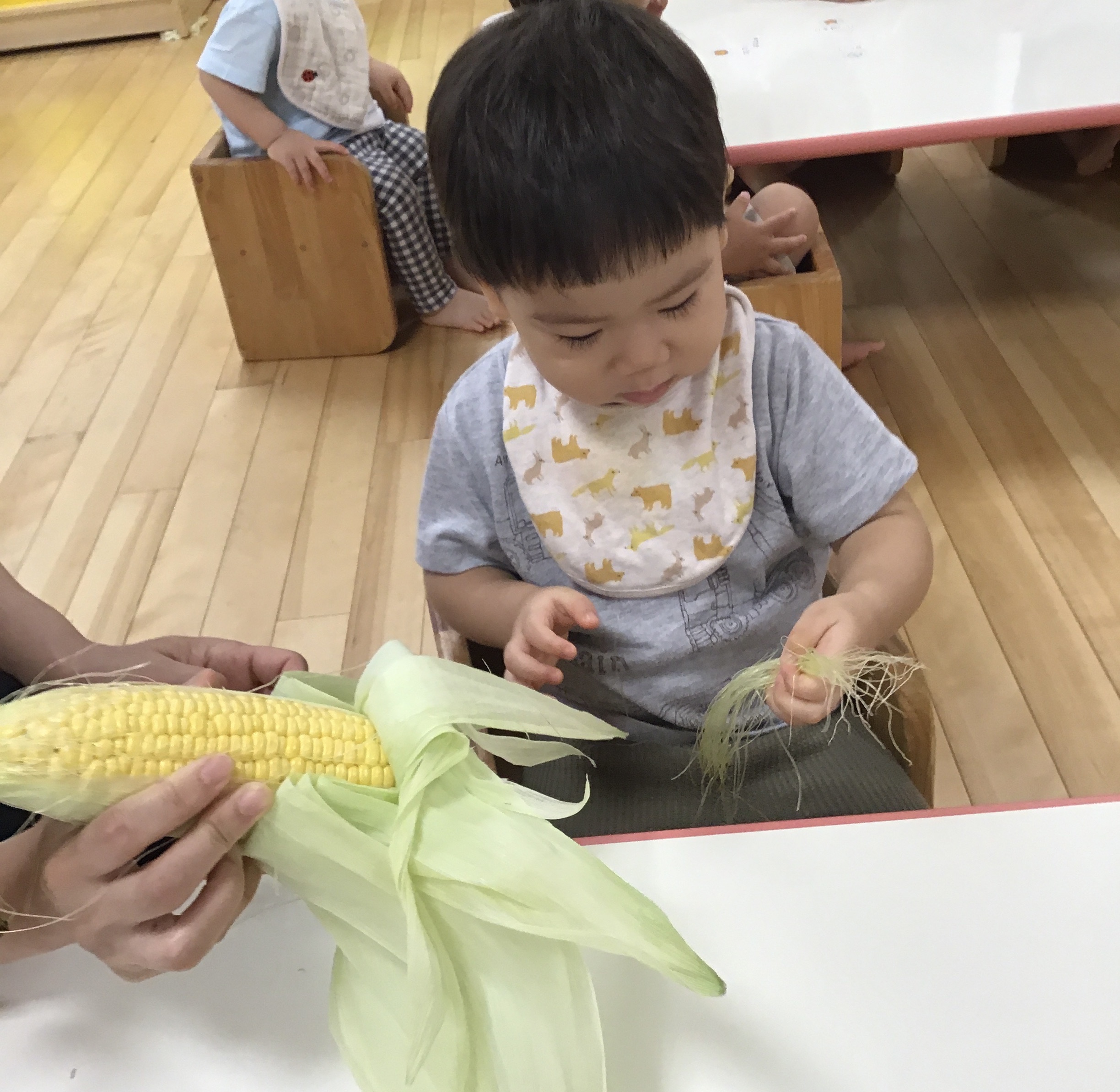 トウモロコシの皮むき器 トウモロコシの皮むき器 ステンレススチールコーンピーラー トウモロコシの皮むき器 トウモロコシの穂軸ストリッ 下村工業フルベジ とうもろこしピーラー No.FVー632 1セット 8個直送品- アスクル