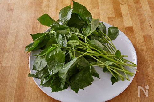 ヘルシー！モロヘイヤねばねばイタリアン by だんどり亭クックパッド簡単おいしいみんなのレシピが392万品