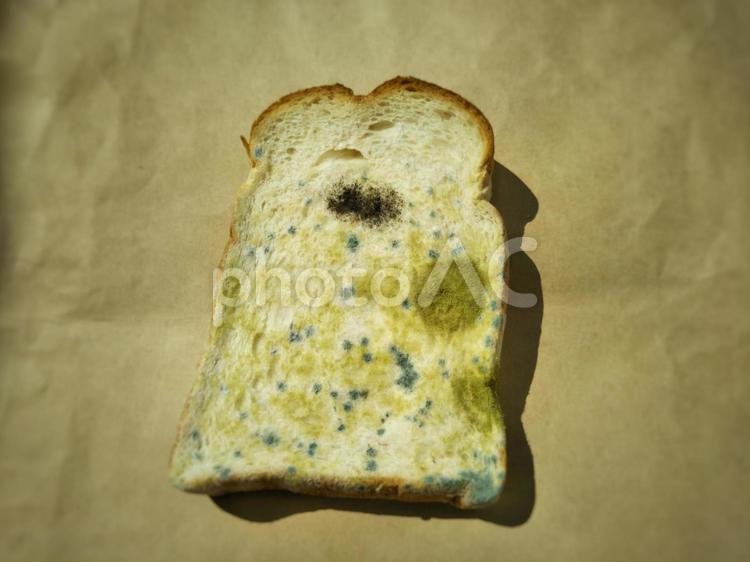 パンに白い粉が付いている理由!白カビとの見分け方は?Bow!-バウ