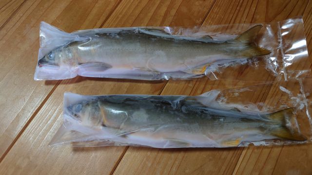 冷凍鮎 1kg 栃木県 喜連川 湧水育ち 鮎 塩焼き 小分け バーベキュー 焼き魚 川魚 ギフト 贈答品 : きつれがわの鮎 匠 - 通販 -Yahoo!ショッピング
