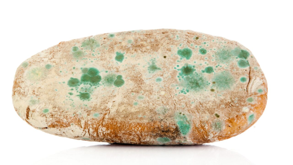 無添加だから、すぐカビちゃうの？？ 保存や扱いは大丈夫でしょうかーー？ハードパンマニアな元パン職人の講師が教える・パン 屋レベルの本格バゲットが、おうちで焼けるようになるパン教室 東京都杉並区高円寺