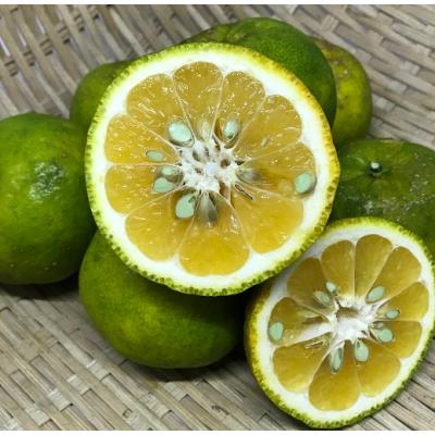 沖縄県産 フルーツ 野菜 酵素 デコポン みかん 柑橘