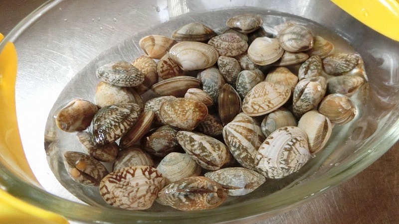 砂抜き用の塩水の作り方