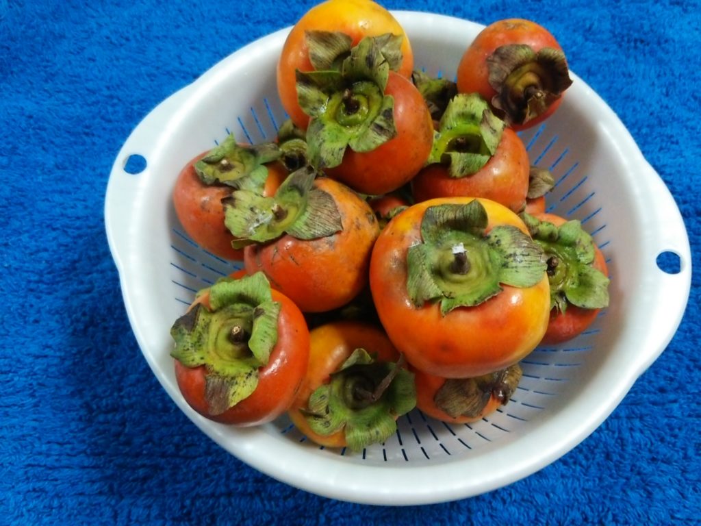 ⑥渋柿干し柿焼酎漬けT字種なし平柿無農薬10キロ