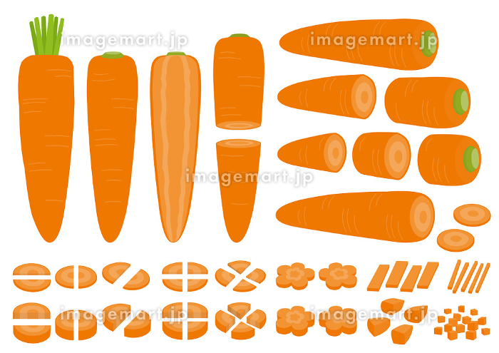 野菜 人参 断面 輪切りのイラスト素材 - PIXTA
