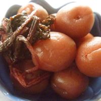 人気1位まとめ！カリカリ梅の漬け方レシピ絶品・殿堂入り10選クックパッドつくれぽ1000クーカイ-Cookai