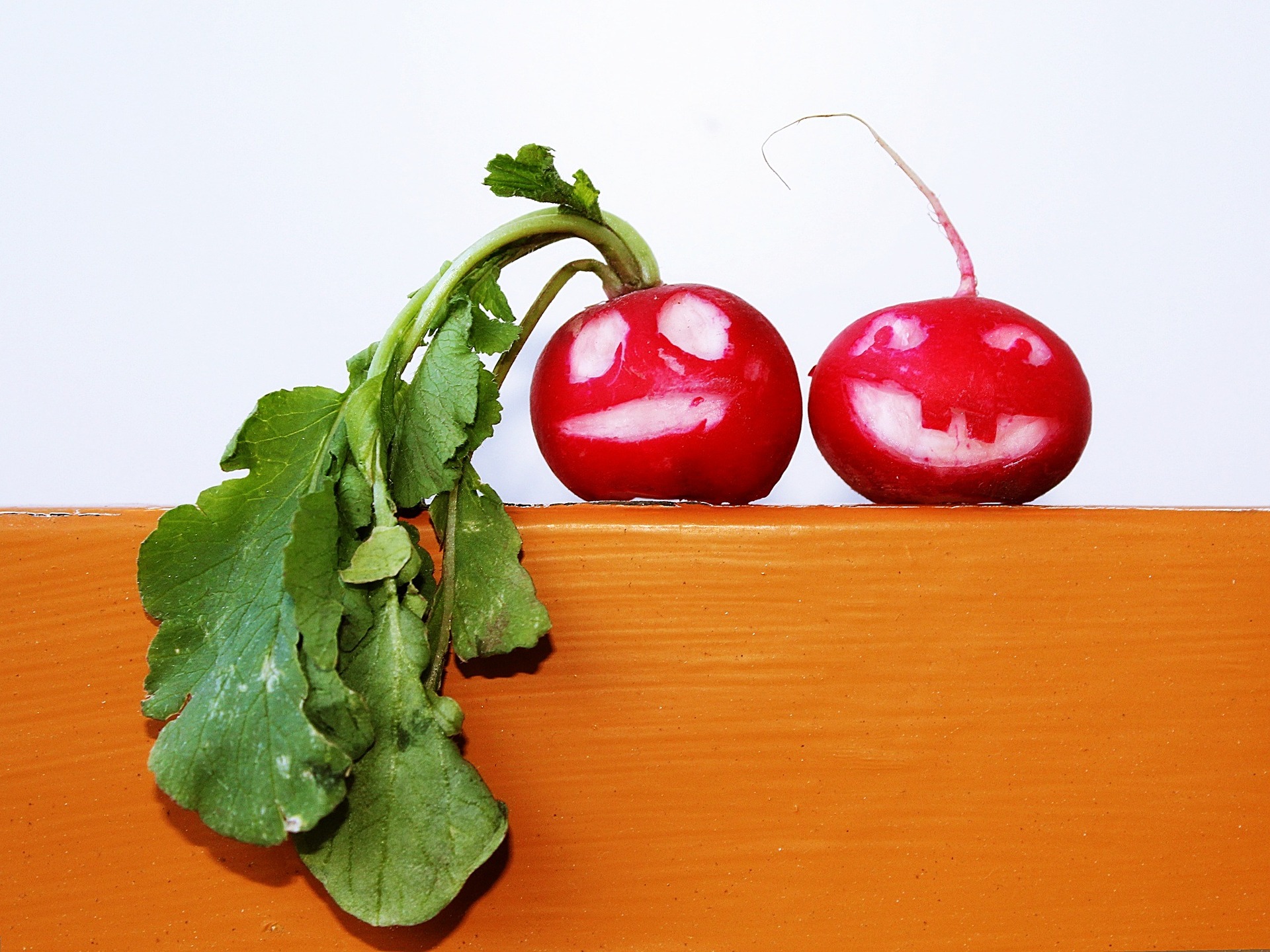 ラディッシュの育て方で失敗？間引き・水やりの頻度と量・栽培の注意や葉っぱだけ育つ原因まで解説plant-nurture.com