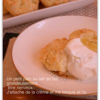 ココアおから米粉スコーン♪卵なしバターなし小麦粉なし おからパウダー 管理栄養士namiのレシピブログ