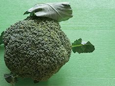 ブロッコリーの茎」には栄養たっぷり！おすすめレシピ4選も 管理栄養士執筆- macaroni