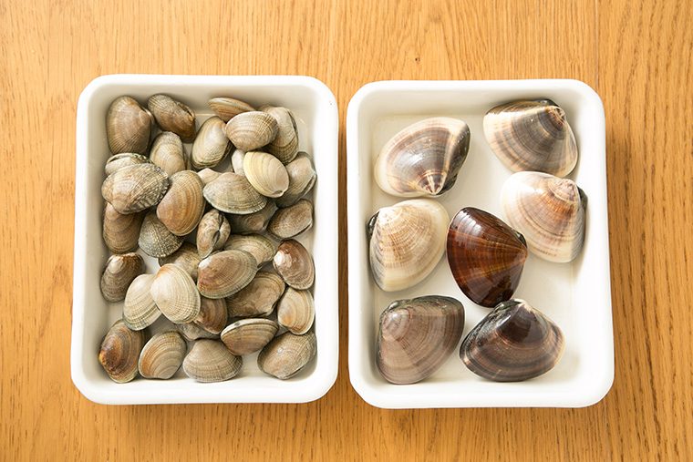 ハマグリを食べたことがありますか?3 - 日淡こぼれ話