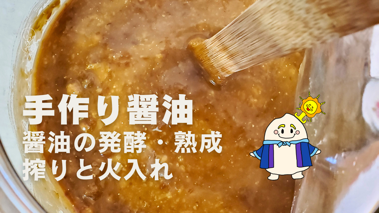 もろみ味噌