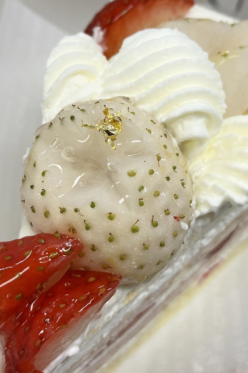 NEXT CAKE for FLAGSHIP STOREHARBS ハーブス