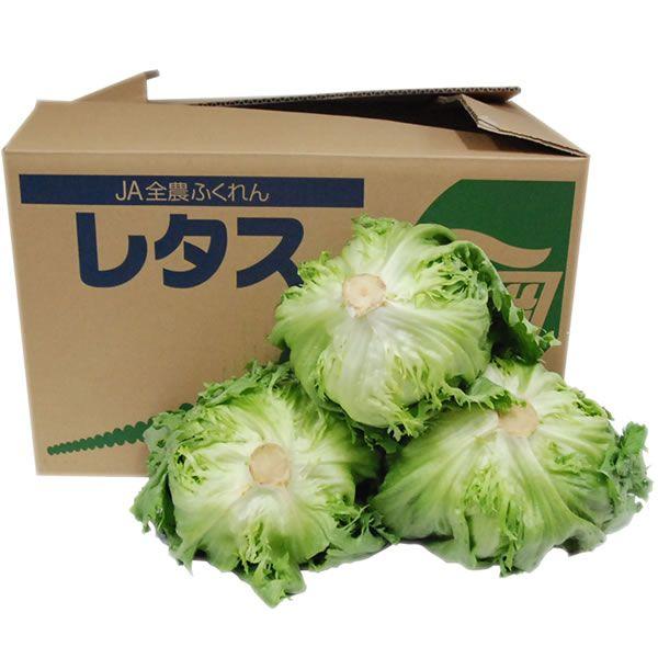 レタス1玉使い切り！丸ごとレタスステーキ