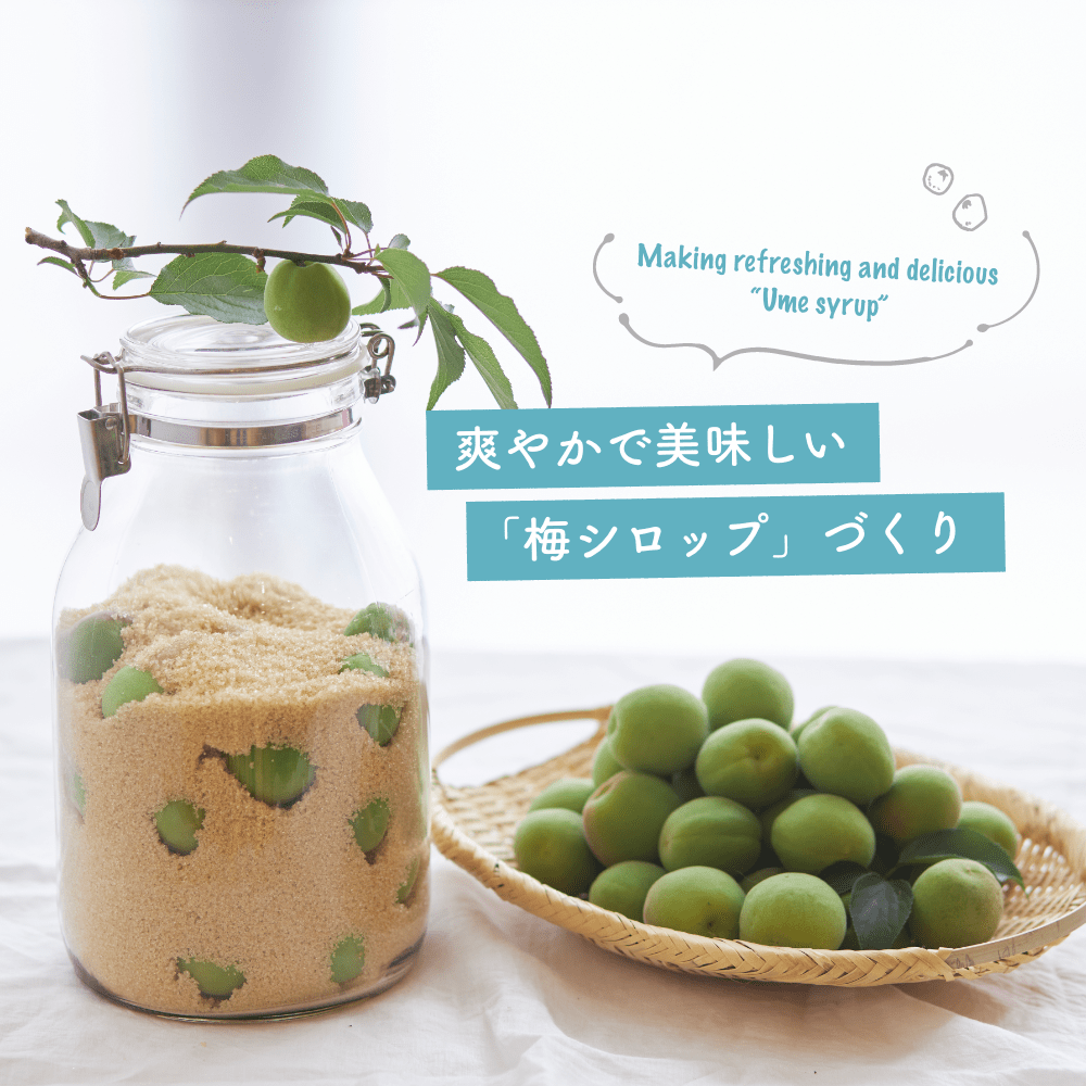 紀州紅梅園 紀州南高梅 完熟梅シロップ りんご酢入 330g 単品 新登場 酸味料 香料 人工甘味料等 無添加 4〜5倍希釈タイプモンドセレクション3年連続最高金賞受賞 梅ジュース 梅ソーダ うめ 飲料 和歌山県産 国産 の通販はau PAY マーケット - プリセプト通販事業部au