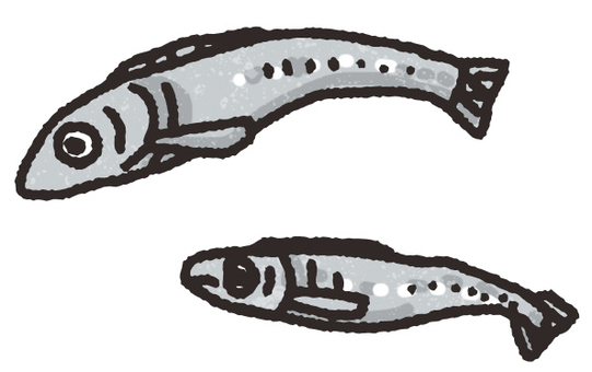 柊鰯のフリーイラストフリーイラスト・クラシック フリクラ