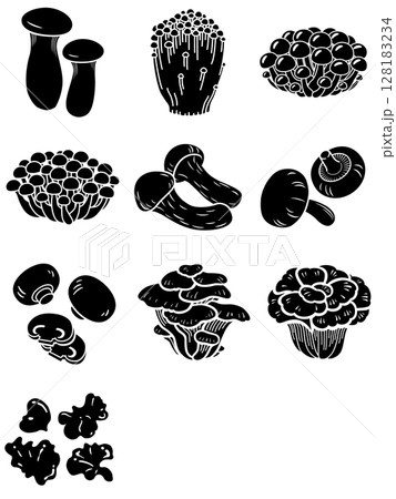 ハイイロシメジ 灰色湿地Clitocybe nebularis- PictureThis