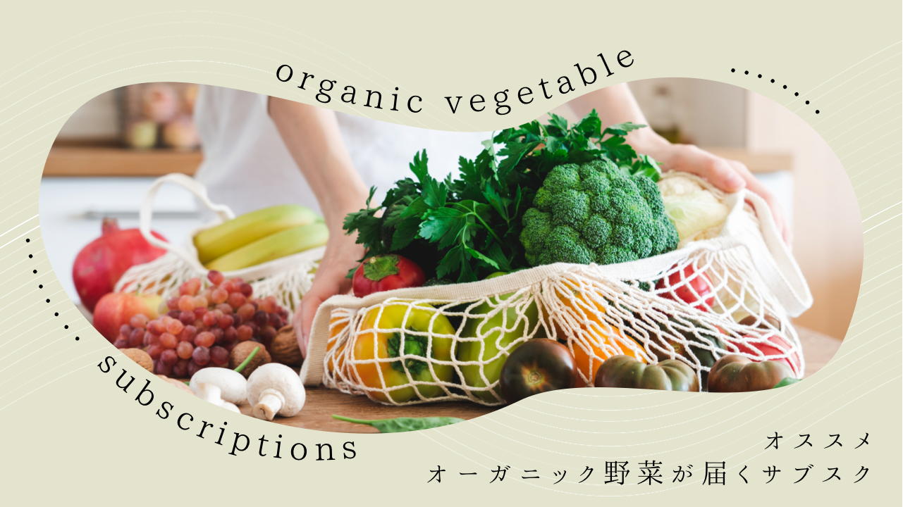 INFOHUB×冷食サブスクnoshコラボ企画 INFOHUB-media