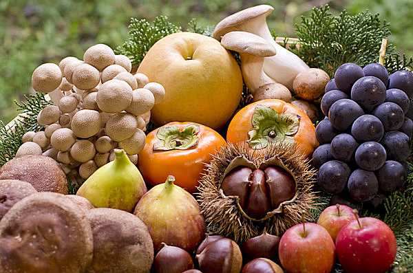 特集 秋の味覚のぶどう・梨、、、果物狩りにおでかけしよう！首都圏おすすめcozre コズレ 子育てマガジン