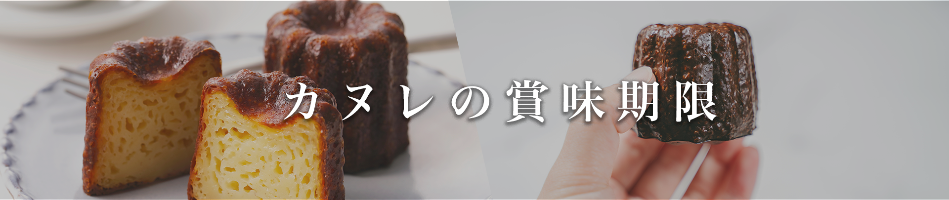 未開封 コンセントレイト ミキプルーン三基商事 3箱セット ドイツ製 ミキプルーン エキストラクト 5個セット 賞味期限 2027年6月 三基商事 :ベストライフ ヤフー店 - 通販 - Yahoo!ショッピング