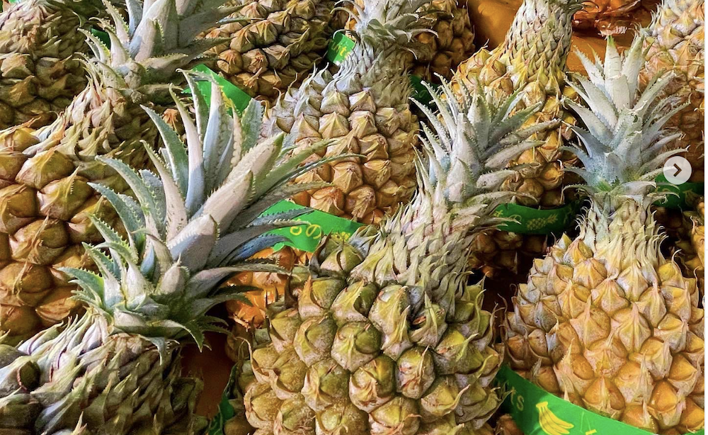 挿し芽から収穫まで 本州でも育てられる！？ミニパインの育て方 - アタマの中は花畑