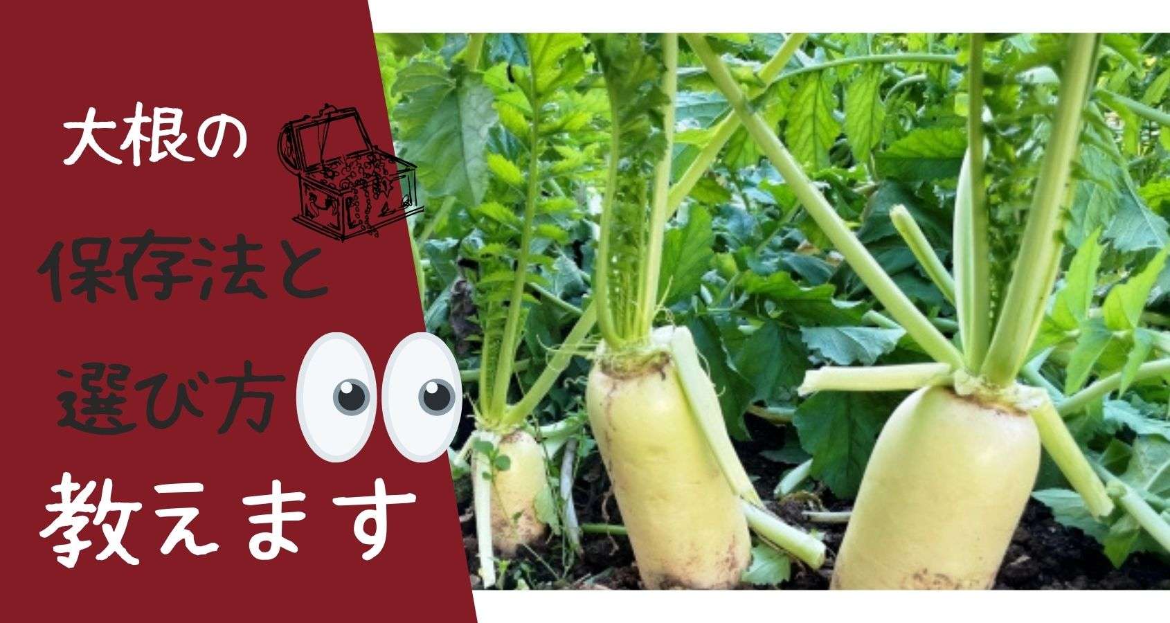 大根保存法板前の一生