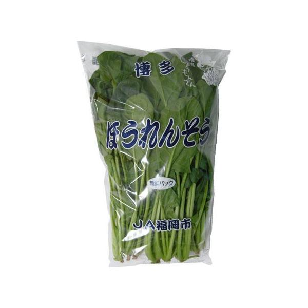 ほうれん草と小松菜の見分け方 そのポイントと、栄養の違いカゴメ株式会社