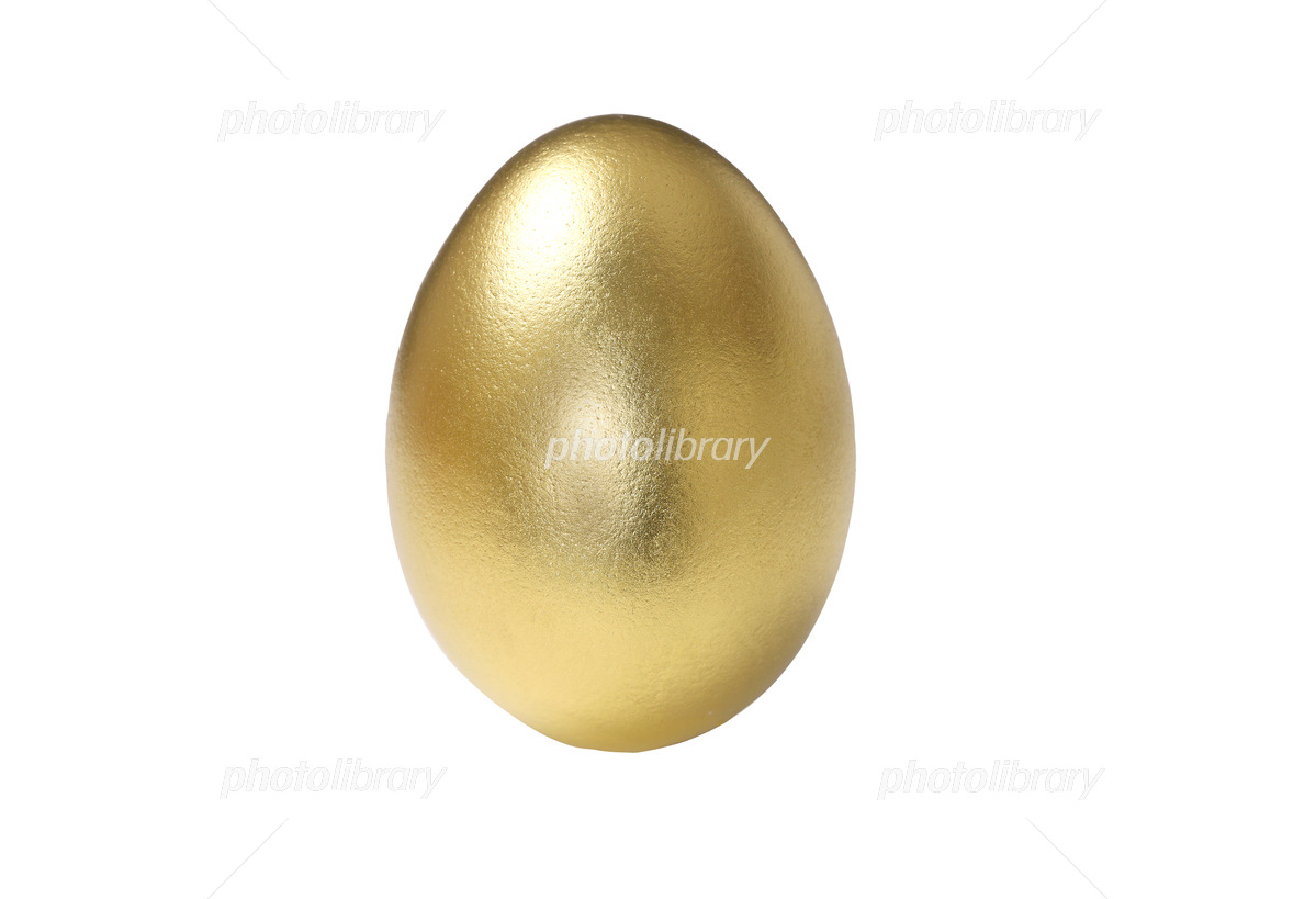 スイカ ダイヤ交配金のたまご10粒