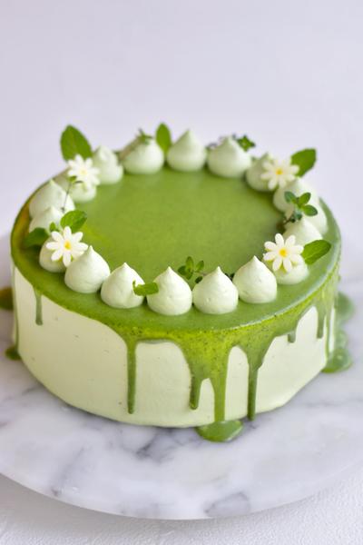 大人にも人気♪抹茶のチーズケーキレシピ10選！焼かないレシピもの人気レシピ・作り方デリッシュキッチン