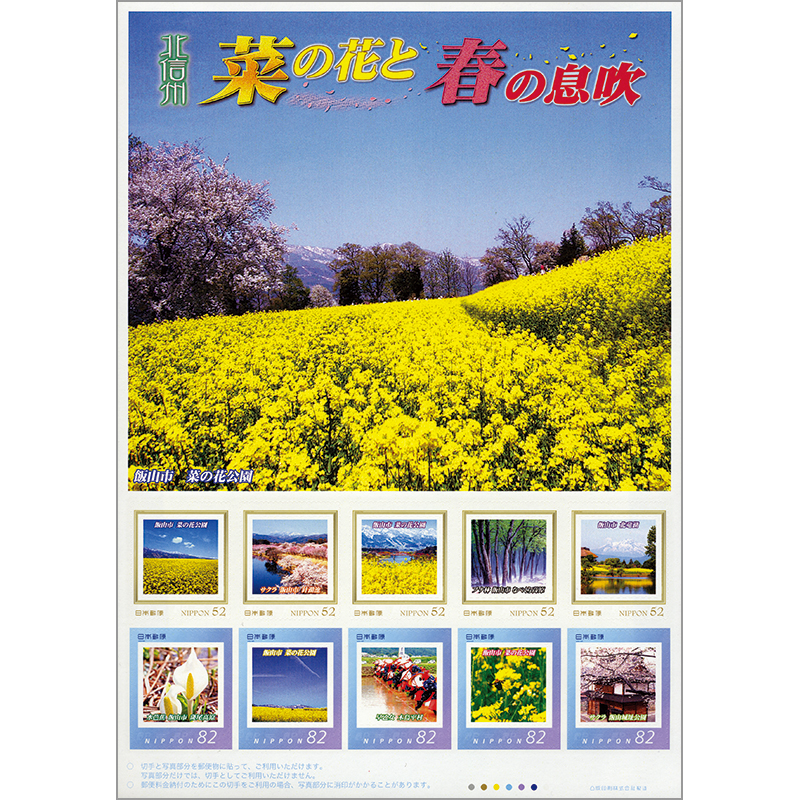 6P苦くない！クセがない！信州産冬菜の菜花野菜 その他野菜 産直アウル 農家から直接野菜などの食材を購入できる産地直送の宅配通販サイト