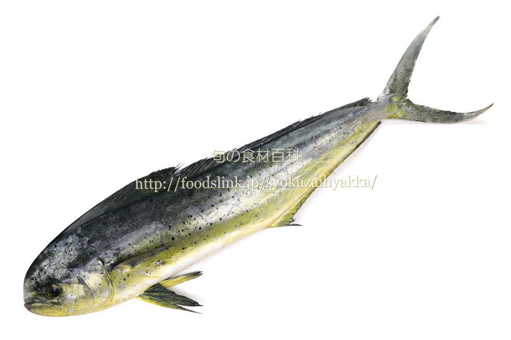 シイラのキムチ鍋仕立てのレシピ・料理・作り方骨取り魚・骨なし魚のオカフーズ – okafoods-onlineshop